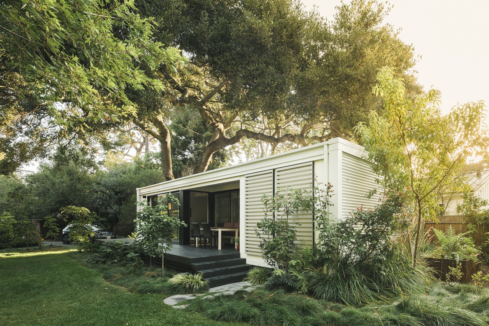 A ADU house inside a garden with a tree, this is a ADU house for home ofice